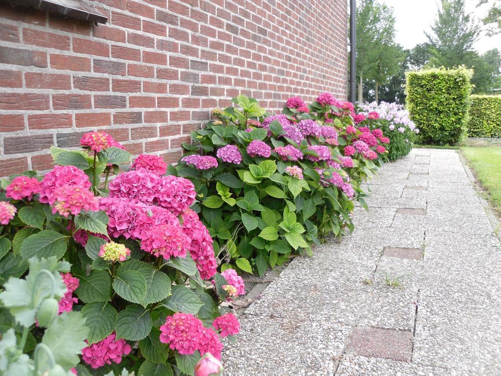 Nicolaashoeve Beemster Bed & Breakfast Noordbeemster Екстериор снимка